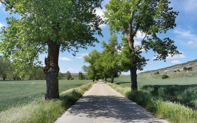 Pensamientos de junio: pide venir a la luz…