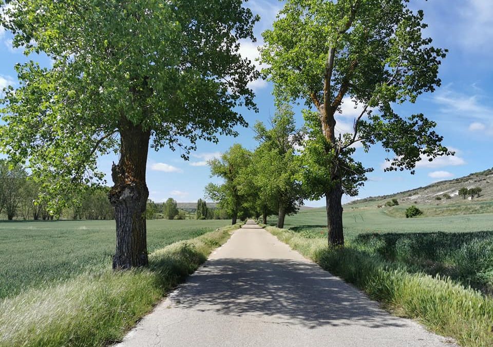 Pensamientos de junio: pide venir a la luz…