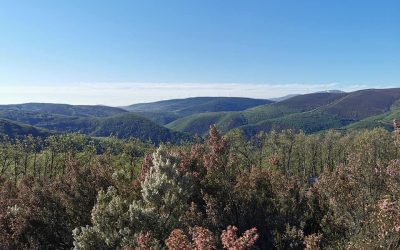 Pensamientos de junio: se volverá como el sol…