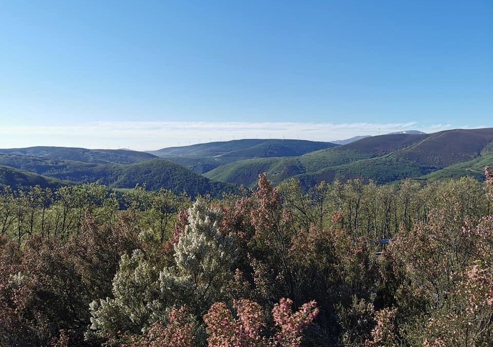 Pensamientos de junio: se volverá como el sol…