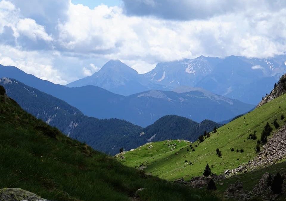 Pensamientos de junio: reforzar el vínculo con el mundo divino