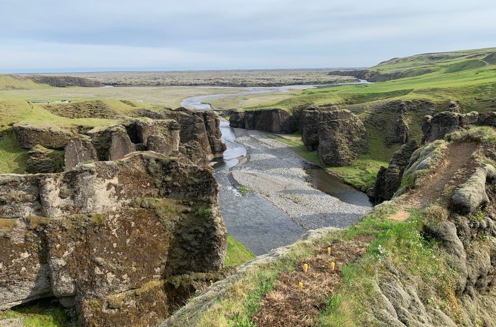 Pensamientos de julio: experimentáis una iluminación tal..