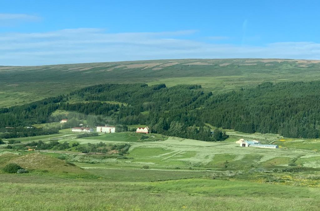 Pensamientos de julio: el espíritu se abre camino poco a poco…