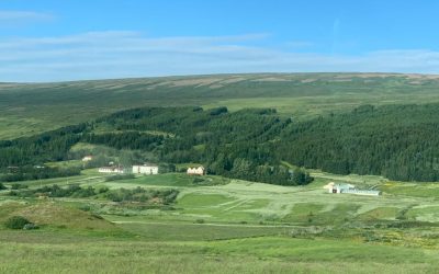 Pensamientos de julio: el espíritu se abre camino poco a poco…