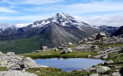 Pensamientos de julio: aportar bendiciones