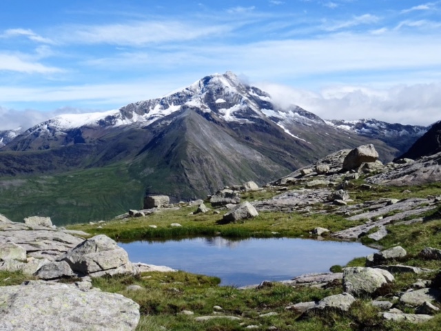 Pensamientos de julio: aportar bendiciones