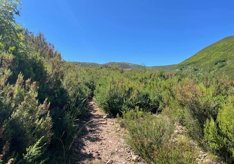 Pensamientos de julio: mantened la confianza