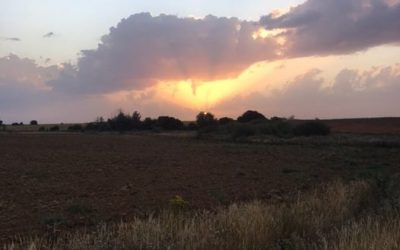 Pensamientos de agosto: tratad de escuchar mejor la dulce voz del Cielo