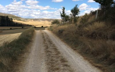 Pensamientos de agosto: buenos días al mundo