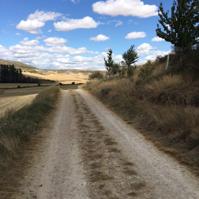 Pensamientos de agosto: buenos días al mundo