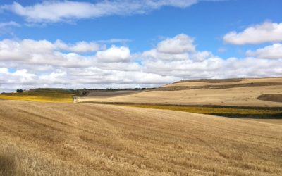 Pensamientos de agosto: la armonía dentro de vosotros