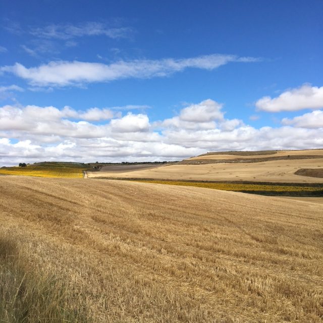 Pensamientos de agosto: la armonía dentro de vosotros