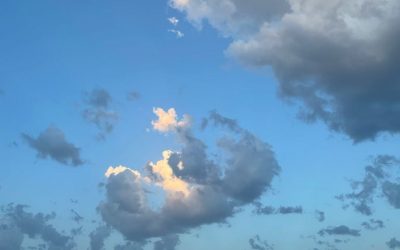 Pensamientos de agosto: espera un poco, ¿de dónde vienes?…