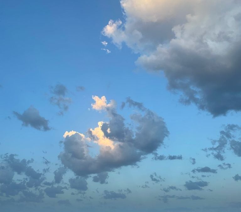 Pensamientos de agosto: espera un poco, ¿de dónde vienes?…