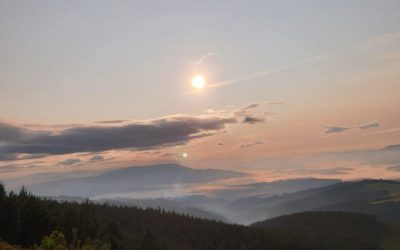 Pensamientos de agosto: llamad a todas esas criaturas luminosas…