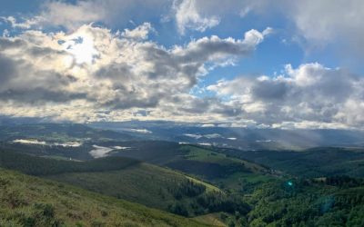 Pensamientos de agosto: trabajar con todo lo que tenemos