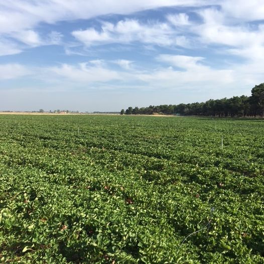Pensamientos de septiembre: pequeñas partículas de vuestra alma se van en todas las direcciones del espacio
