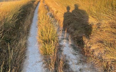 Pensamientos de septiembre: acercaros al sol espiritual