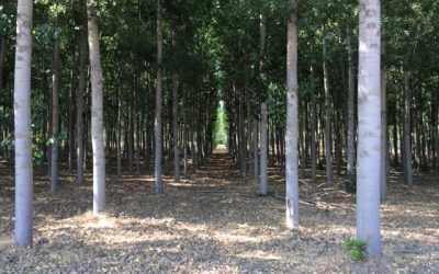 Pensamientos de septiembre: la verdadera magia está ahí