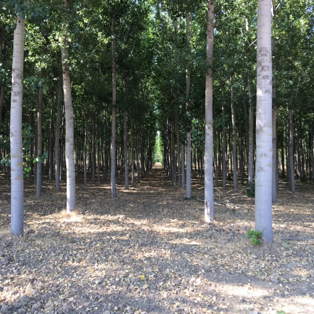 Pensamientos de septiembre: la verdadera magia está ahí