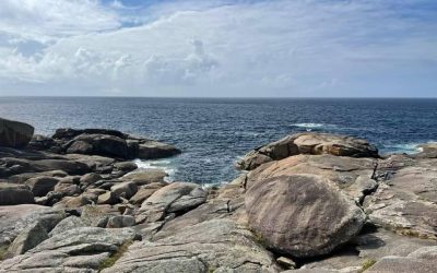 Pensamientos de septiembre: perseverar