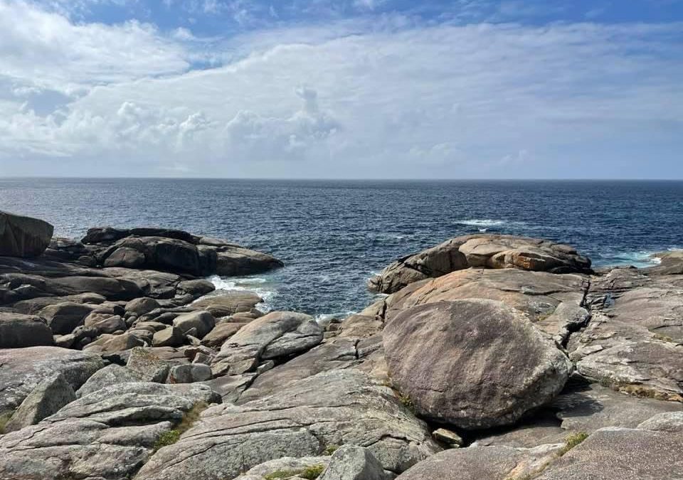 Pensamientos de septiembre: perseverar