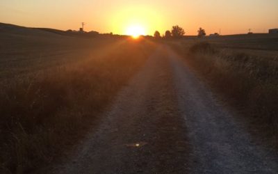 Pensamientos de septiembre: observa silencio