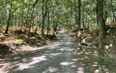 Para darse de baja en esta lista de envíos por favor mandar «BAJA» al mismo correo de este envío