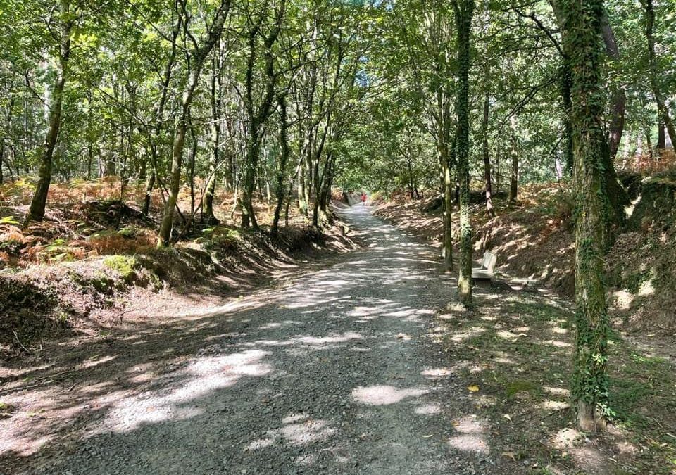 Para darse de baja en esta lista de envíos por favor mandar «BAJA» al mismo correo de este envío