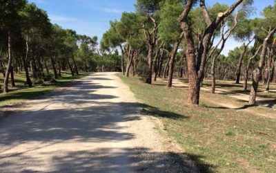 Pensamientos de octubre: procurar que nuestros pensamientos, nuestros sentimientos y nuestros actos sólo produzcan ondas benéficas