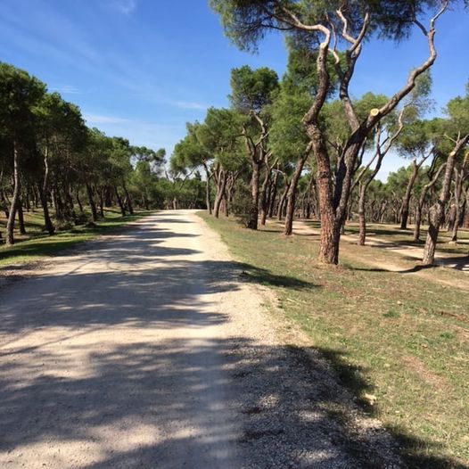Pensamientos de octubre: procurar que nuestros pensamientos, nuestros sentimientos y nuestros actos sólo produzcan ondas benéficas