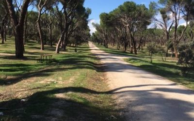 Pensamientos de octubre: os volveréis más y más vivos..