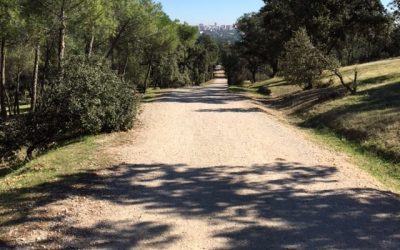 Pensamientos de octubre: la morada de la luz