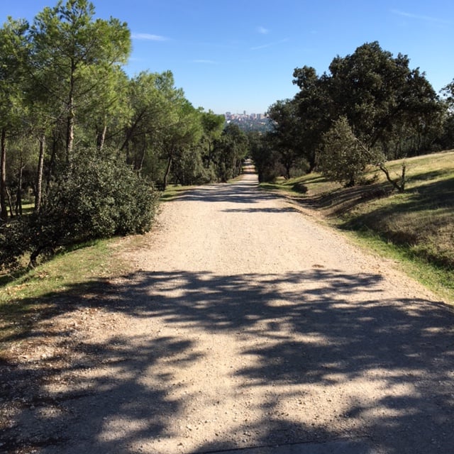 Pensamientos de octubre: la morada de la luz
