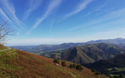 Pensamientos de octubre: mirar hacia arriba…