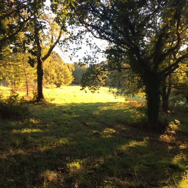 Pensamientos de noviembre: una visión nueva