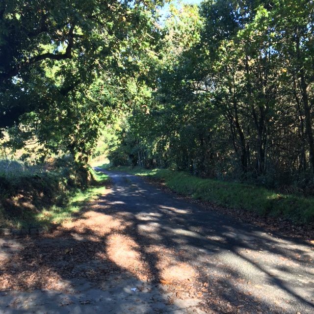 Pensamientos de noviembre: esforzaros en no perder vuestro amor ni vuestro entusiasmo