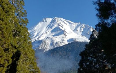 Pensamientos de noviembre: el sol espiritual se levantará en vosotros