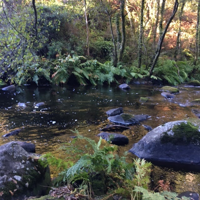 Pensamientos de noviembre: la inmensidad del cielo encima de nosotros