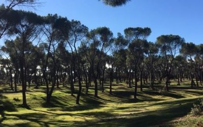 Pensamientos de diciembre: os lleváis con vosotros toda esta riqueza…