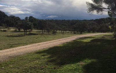 Pensamientos de diciembre: será entonces cuando se producirán verdaderos cambios…