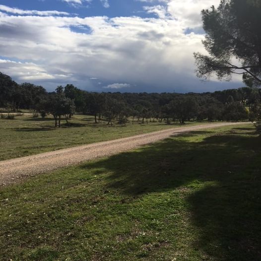 Pensamientos de diciembre: será entonces cuando se producirán verdaderos cambios…