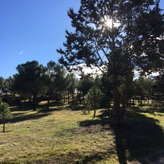 Pensamientos de diciembre: ¡qué grandes son tu belleza y tu fuerza!