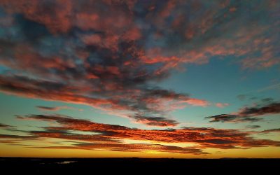 Pensamientos de diciembre: cada día debemos buscar la luz, la sabiduría…