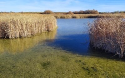 Pensamientos de diciembre: esa sensación de inmensidad y de eternidad…