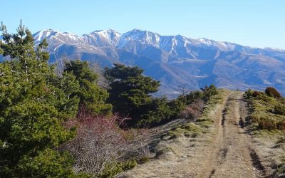 Pensamientos de enero: acercarse al Bien Amado