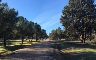 Pensamientos de enero: el que ama…