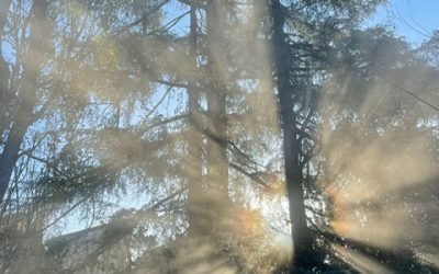 Pensamientos de enero: maravillándoos…