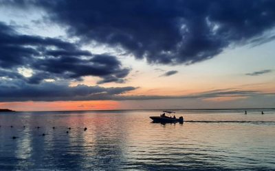 Pensamientos de enero: unos minutos en silencio cada día