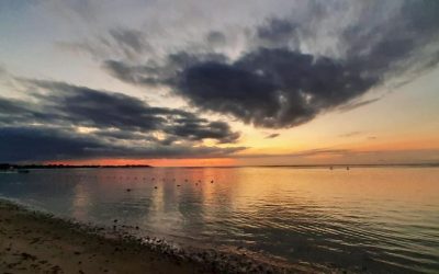 Pensamientos de enero: abandonaos a la inspiración de vuestros artistas interiores